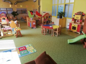 vazky7.jpg